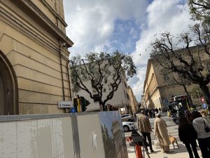 Lecce, via Trinchese tra panchine antibivacco in arrivo e nuovo cantiere Enel - Corriere Salentino