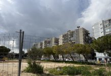 Politica - Corriere Salentino