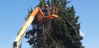 Home - Corriere Salentino