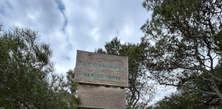 Home - Corriere Salentino