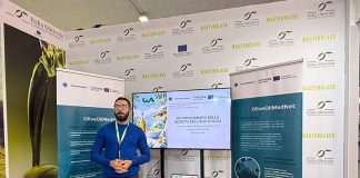 Home - Corriere Salentino