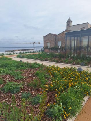 Giornate FAI di Primavera 2026: sette aperture straordinarie tra Taranto e provincia - Corriere Salentino