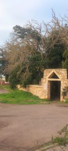 Boschetto comunale, M5S "Necessario immediato stop agli interventi e verifica regionale sulla legittimità degli atti" - Corriere Salentino