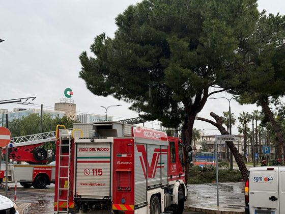 Maltempo, decine gli interventi dei vigili del fuoco: cadono alberi sui cavi del filobus e su auto in sosta - Corriere Salentino