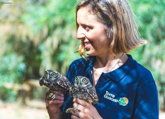 Recupero fauna selvatica di Torre Guaceto: soccorsi 145 animali in un anno