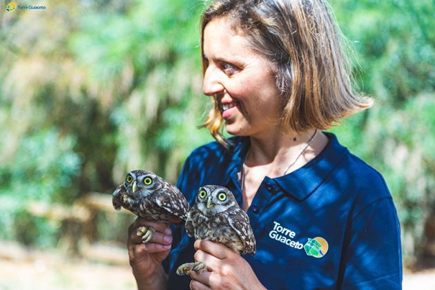 Recupero fauna selvatica di Torre Guaceto: soccorsi 145 animali in un anno - Corriere Salentino