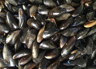 Infettivologi: ‘Epatite A in aumento in Italia, vaccinazione per i soggetti fragili’