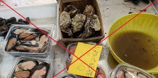 Home - Corriere Salentino