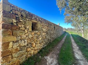 Chiusura Preti: una casa di campagna che torna a raccontare il suo paesaggio a Castiglione d’Otranto - Corriere Salentino