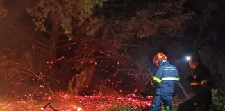 Home - Corriere Salentino