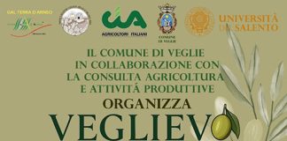 Home - Corriere Salentino