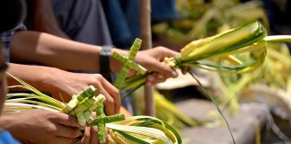 Home - Corriere Salentino