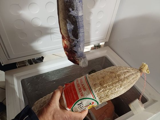 Controlli e multe per alimenti privi di tracciabilità e per irregolarità sui prezzi dei carburanti - Corriere Salentino