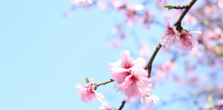 Home - Corriere Salentino