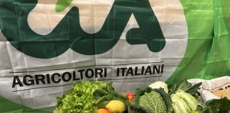 Home - Corriere Salentino