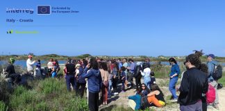 Home - Corriere Salentino