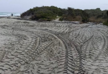 Ambiente - Corriere Salentino