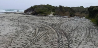 Home - Corriere Salentino