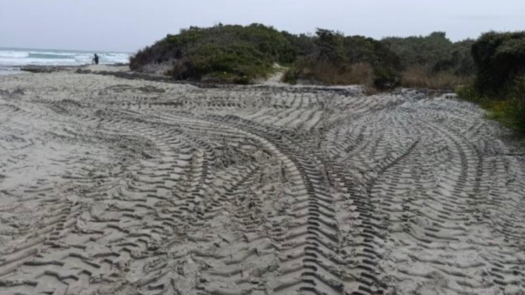 Otranto, interventi irregolari sulla spiaggia degli Alimini: scatta il sequestro della Guardia Costiera - Corriere Salentino