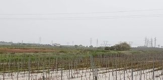 Home - Corriere Salentino