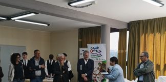 Home - Corriere Salentino