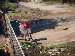 Ambiente - Corriere Salentino