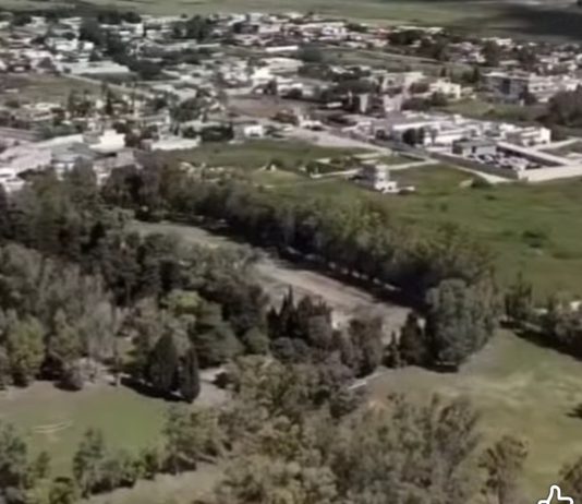 Verde pubblico nel mirino, Occhineri attacca: “Promesse tradite”. La replica di Lupiae: “Aree non consegnate”