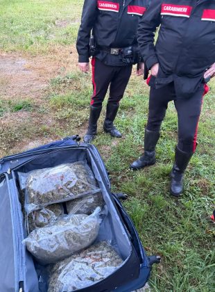 Stalla trasformata in un deposito di droga: all’interno 11,5 chili di “erba”, arrestato 23enne incensurato - Corriere Salentino