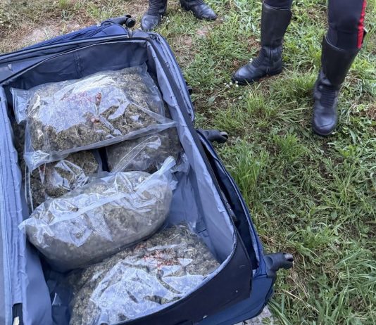 Home - Corriere Salentino