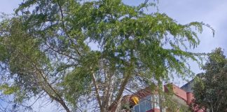 Home - Corriere Salentino