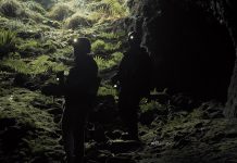 Arte e dintorni - Corriere Salentino