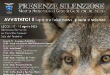 Arte e dintorni - Corriere Salentino