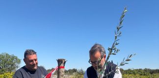 Home - Corriere Salentino