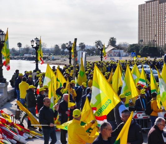 Piano Marshall da 200 milioni per agricoltura pugliese, Coldiretti in piazza con migliaia di agricoltori