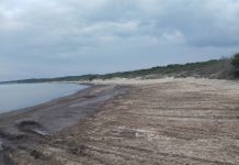 Cronaca - Corriere Salentino