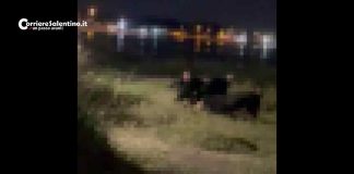 Home - Corriere Salentino