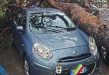 Ambiente - Corriere Salentino