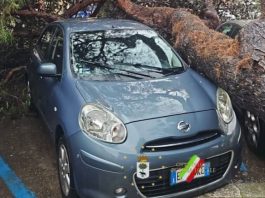 Ambiente - Corriere Salentino