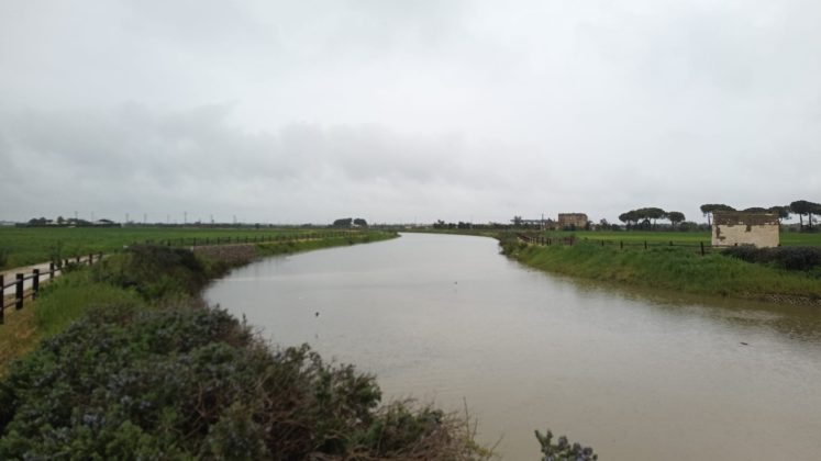 Esondazione Canale dell'Asso, interviene il Contratto di Fiume: "Urge superare la visione del torrente come mero canale di scolo" - Corriere Salentino