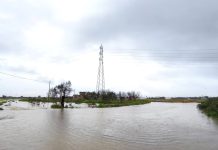 Ambiente - Corriere Salentino