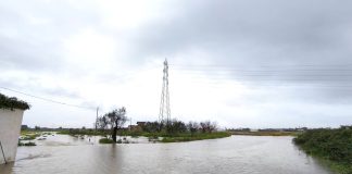 Home - Corriere Salentino