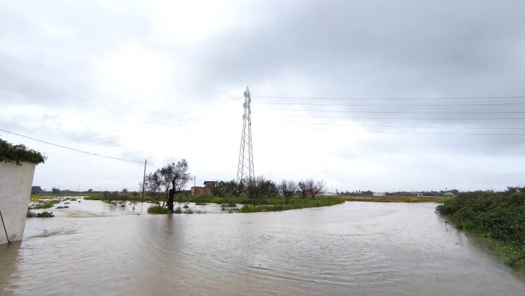 Esondazione Canale dell'Asso, interviene il Contratto di Fiume: "Urge superare la visione del torrente come mero canale di scolo" - Corriere Salentino