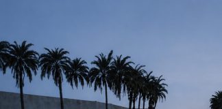 Home - Corriere Salentino