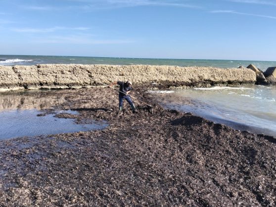 Darsena di Frigole, serve il dragaggio. Rotundo:"Ritardi intollerabili che pesano duramente sull'attività dei pescatori" - Corriere Salentino