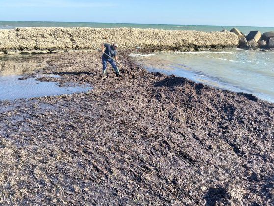 Darsena di Frigole, serve il dragaggio. Rotundo:"Ritardi intollerabili che pesano duramente sull'attività dei pescatori" - Corriere Salentino