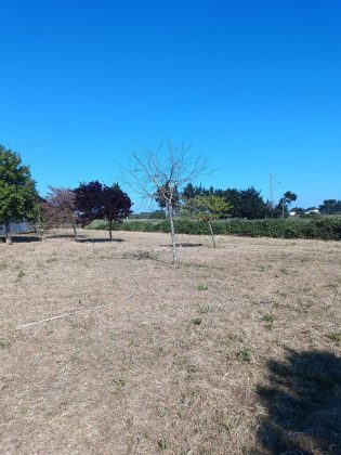 Al via i lavori per il dog park a Salice - Corriere Salentino