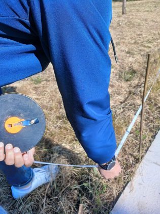 Al via i lavori per il dog park a Salice - Corriere Salentino