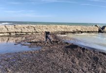 Politica - Corriere Salentino