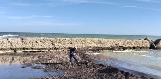 Home - Corriere Salentino