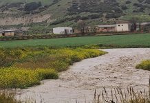 Ambiente - Corriere Salentino